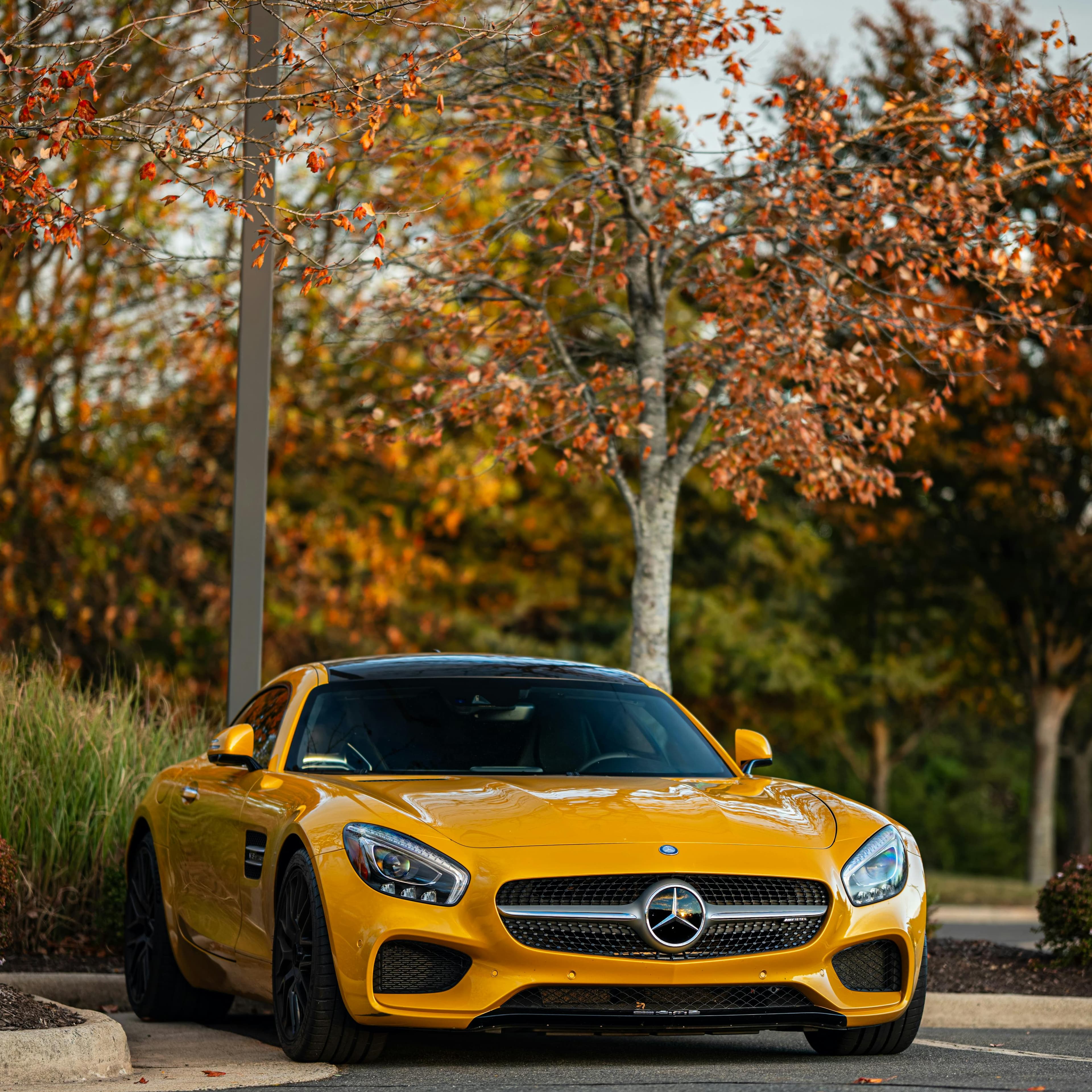 Premium car paint protection studio